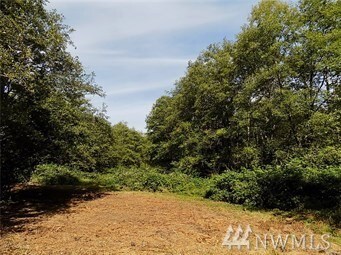 9598 Dupree Dr, Blaine, WA 98230 - photo 6