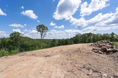 Tbd State Highway Y, Galena, MO 65656 - photo 6