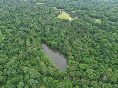 214 Gessler Rd, Benton, MS 39039 - photo 6