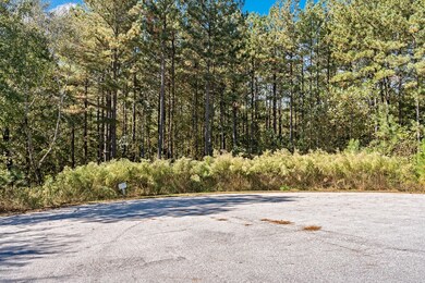 Lot 137 Charter's Trail, West Union, SC 29696 - photo 4