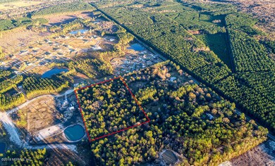 0 Haylie Ln unit 976876, Callahan, FL 32011 - photo 7