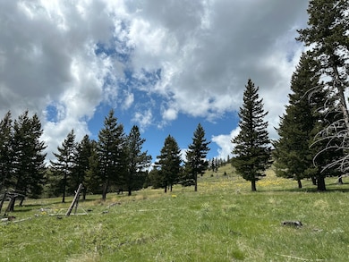 0 Tbd unit 11493126, Big Timber, MT 59011 - photo 4