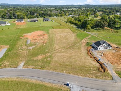 This area boasts wonderful schools and peaceful country lifestyle while still remaining close to the heart of downtown Murfreesboro just 30 minutes away