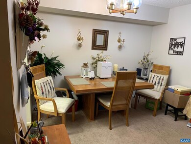 111 Turtle Creek Rd unit 4, Charlottesville, VA 22901 - photo 6