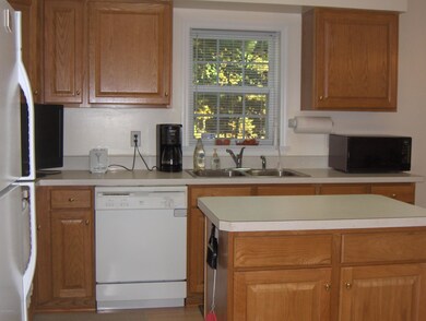 1370 W 17 Mile Rd, Bitely, MI 49309 - photo 3