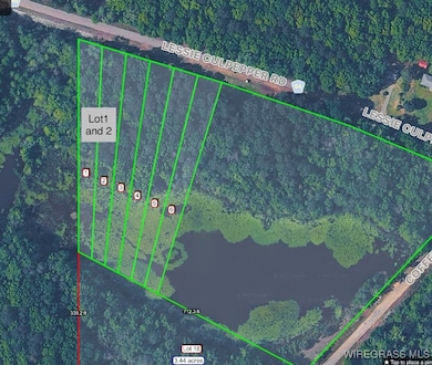 805 Lessie Culpepper Rd, Coffee Springs, AL 36318 - photo 3