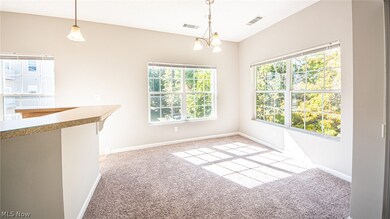 1005 Aqua Marine Blvd, Avon Lake, OH 44012 - photo 4