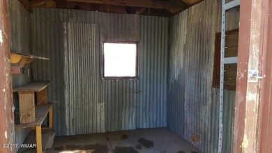 Inside Shed