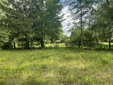 951 57th St, Pullman, MI 49450 - photo 5