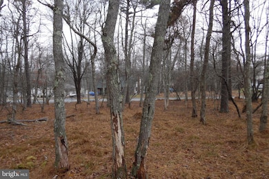 Lot D1922 N Old Stage Rd, Albrightsville, PA 18210 - photo 7