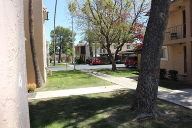 IMG_3261