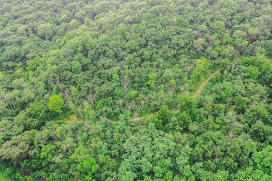 24699 E Burns Valley Rd, Wilson Township, MN 55987 - photo 7