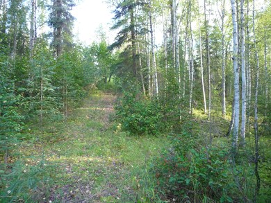 P1060051