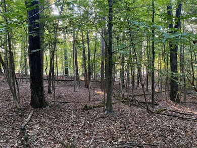 TBD County Road 415, Oxford, MS 38655 - photo 5