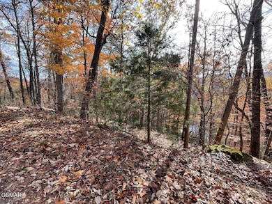 Lot 34R Sugar Mountain Way, Pigeon Forge, TN 37863 - photo 5