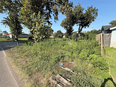 0 Collins Rd unit 57997814, Richmond, TX 77469 - photo 2