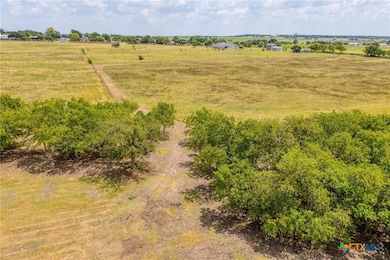 1250 County Road 311, Jarrell, TX 76537 - photo 6