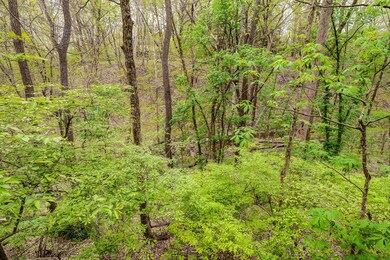 171 Whieldon Ln-10