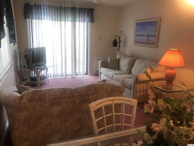 210 28th Ave S unit 203, Myrtle Beach, SC 29577 - photo 6