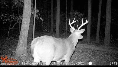 0 74 & 75 Elm Dr unit 20-101640, Catawissa, PA 17820 - photo 4