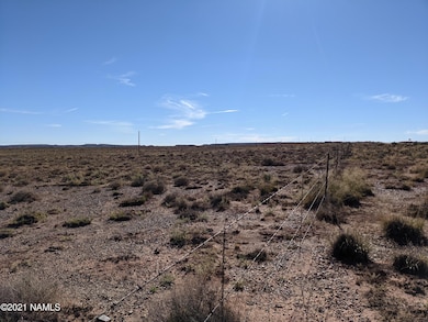 PXL_20211022_164601620