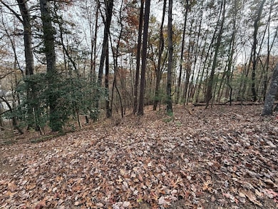 12 N Ridge Dr, Ellijay, GA 30540 - photo 4