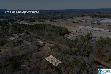 0 29th St N unit 21408163, Pell City, AL 35125 - photo 2