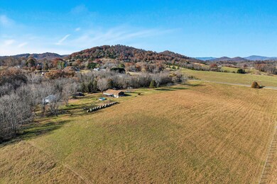 Tract 2 Stewartsville Rd, Moneta, VA 24121 - photo 4