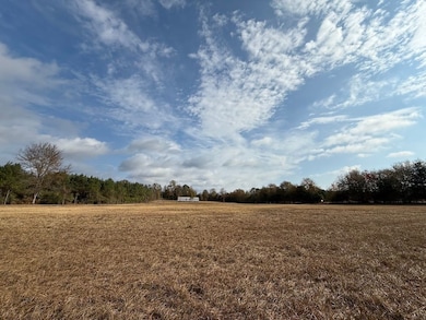 Sc Hwy 39 unit LotWP001, Williston, SC 29853 - photo 6