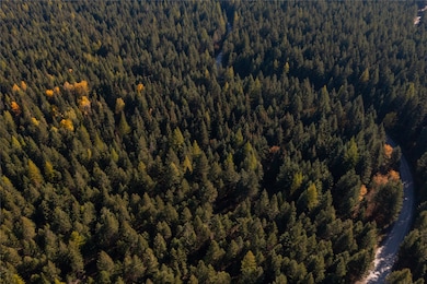 10 Acres Gut Creek Rd, Rexford, MT 59930 - photo 6