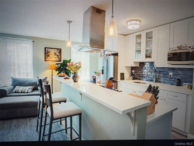 The Thornton Place unit 5G, Forest Hills, NY 11414 - photo 5