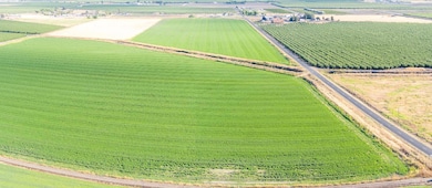 21070 Reeve Rd, Tracy, CA 95304 - photo 6