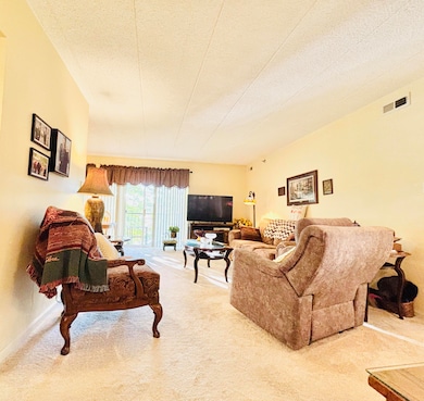 402 Sturdy Rd unit 2C, Valparaiso, IN 46383 - photo 7