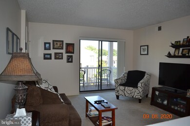 6916 Hilltop Dr unit 149, Brookhaven, PA 19015 - photo 4