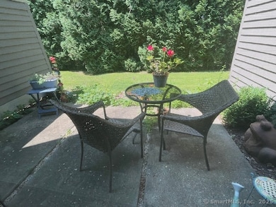 45 Riveredge Dr unit 45, Winsted, CT 06098 - photo 4