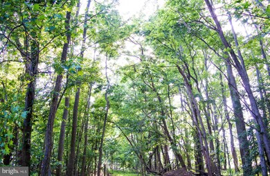 35079 Edgewater Pkwy, Mechanicsville, MD 20659 - photo 6