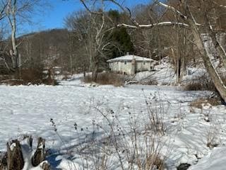 IMG_20250114_122153