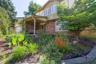 Gorgeous front landscaping