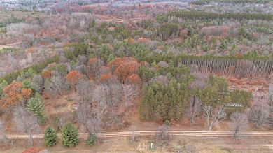 3205 E 14 Mile Rd, Bitely, MI 49309 - photo 5