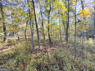 1 Georgia 17, Wadley, GA 30477 - photo 6