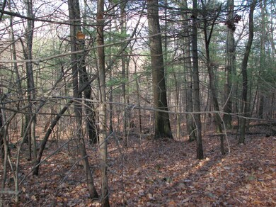 0 Tower Rd, Liberty Township, PA 17821 - photo 2