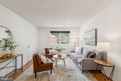 4324 2nd Rd N unit 43242, Arlington, VA 22203 - photo 6