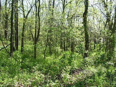 TBD Bolton Ln, Stockton Township, IN 47441 - photo 3