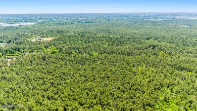 Lot 297 Plantation Rd, Wilmington, NC 28411 - photo 6