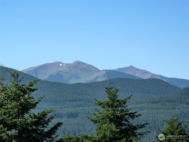 2263 Lost Mountain Rd, Sequim, WA 98382 - photo 7