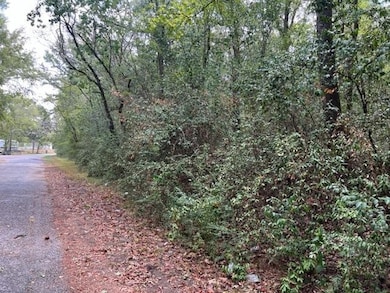 000 Hursey St, Jasper, TX 75951 - photo 6