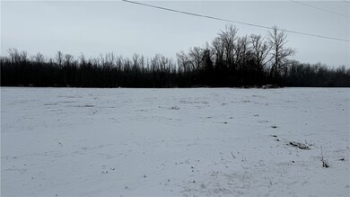 0 0 Knowlesville Rd, Alabama, NY 14125 - photo 5