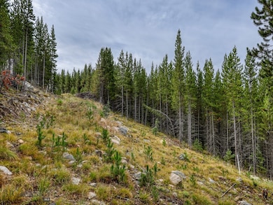 89 Summit, Big Sky, MT 59716 - photo 3