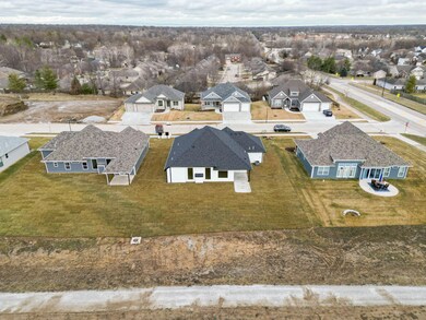 DJI_0061