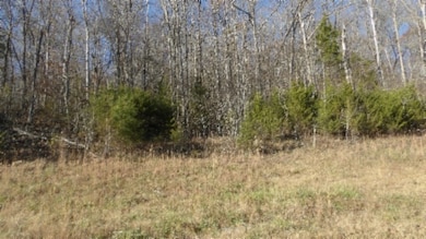 0 Cheyenne Dr unit RTC2769143, Jamestown, TN 38556 - photo 5